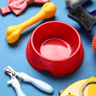 Pet Accessories